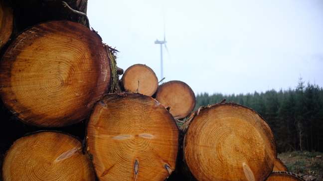 Picture of a pile of timber with trees and a wind turbine in the background